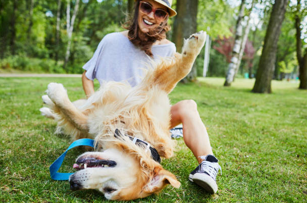 Dogs: how to keep them healthy